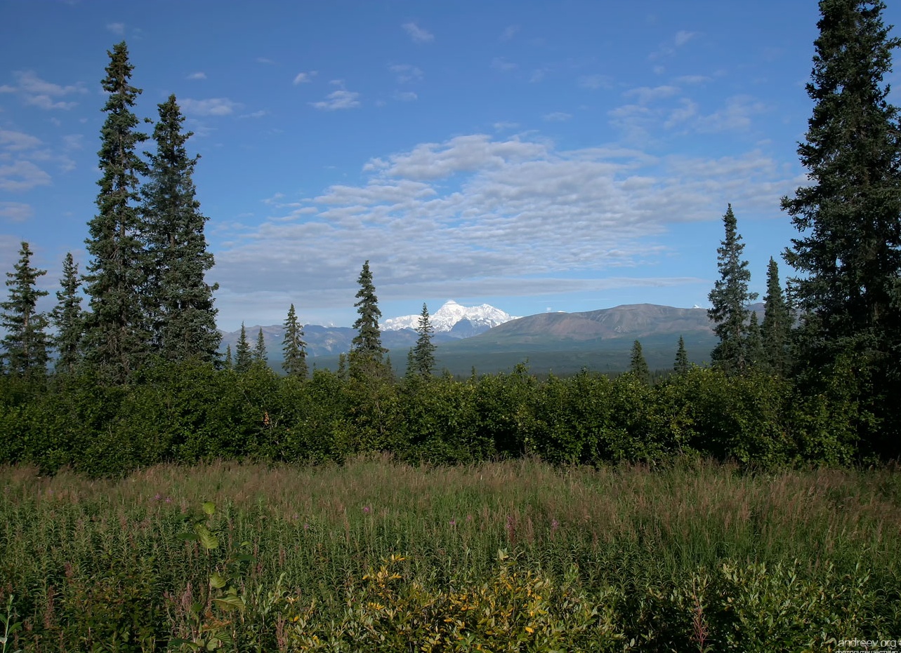 6 способов проявлять щедрость, никак не связанных с деньгами