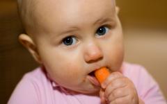 गाजर को पूरक आहार में कैसे शामिल करें: बच्चों के लिए गाजर की प्यूरी