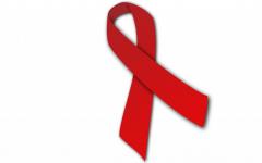 ¿Es posible contraer el VIH a través de un beso o cómo (no) se transmite el virus? El VIH se transmite a través de un beso