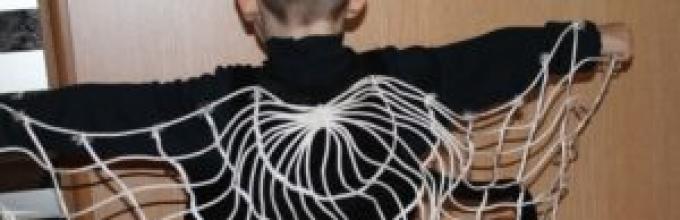 衣装の蜘蛛の足の作り方 子供のために自分の手で新年のクモの衣装を作る方法 スパイダーマンのコスチュームは何でできていますか